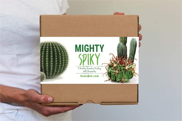 Mighty Spiky Cactus Gift Seed Kit - Image 3