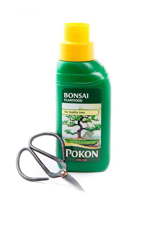 Bonsai Liquid Fertiliser For Indoor Plants
