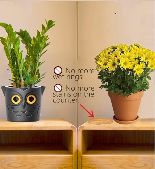 Owl Self Watering Plant Pot for Kids - Image 5