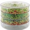 DECOCRAFT SEED SPROUTER
