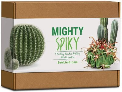 Mighty Spiky Cactus Gift Seed Kit
