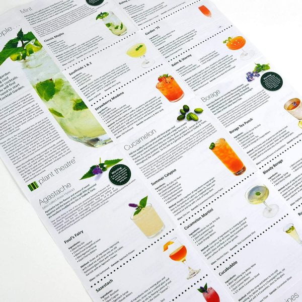 Cocktail Garden Kit - Image 3