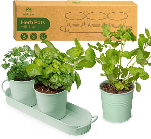 Herb Planter Indoor