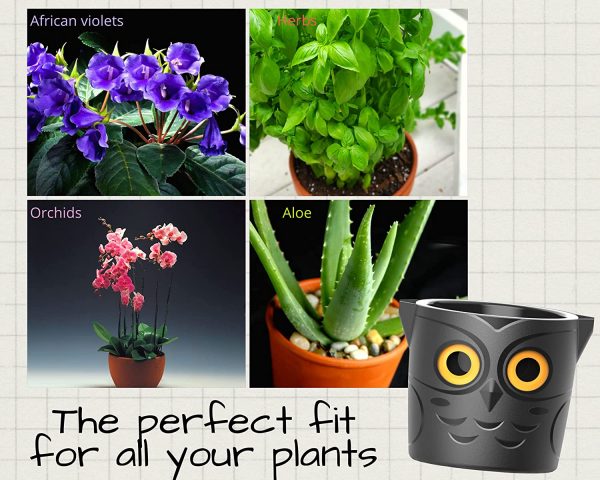 Owl Self Watering Plant Pot for Kids - Image 4