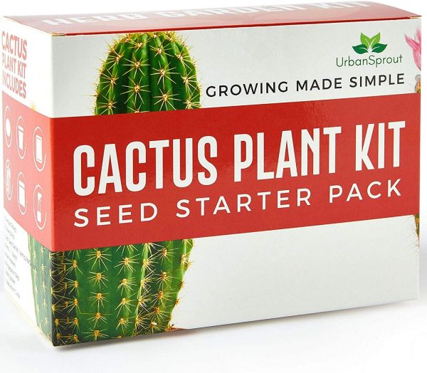 Grow Your Own Cactus Kit