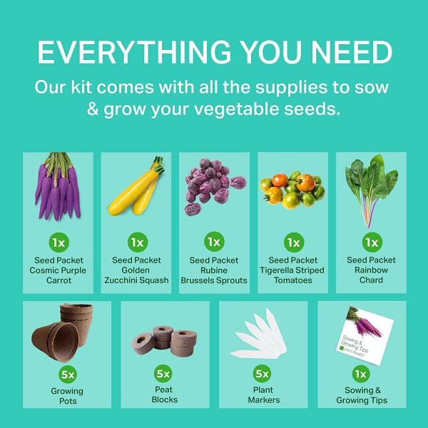 Funky Vegetables Kit - Image 3
