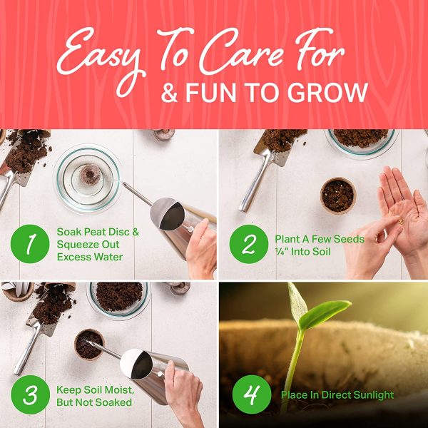 Funky Vegetables Kit - Image 4