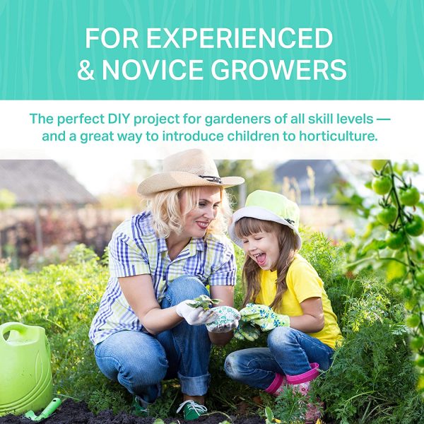 Funky Vegetables Kit - Image 7