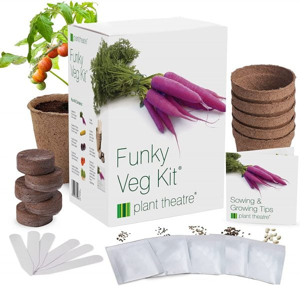 Funky Vegetables Kit