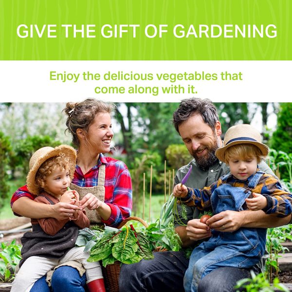 Funky Vegetables Kit - Image 9