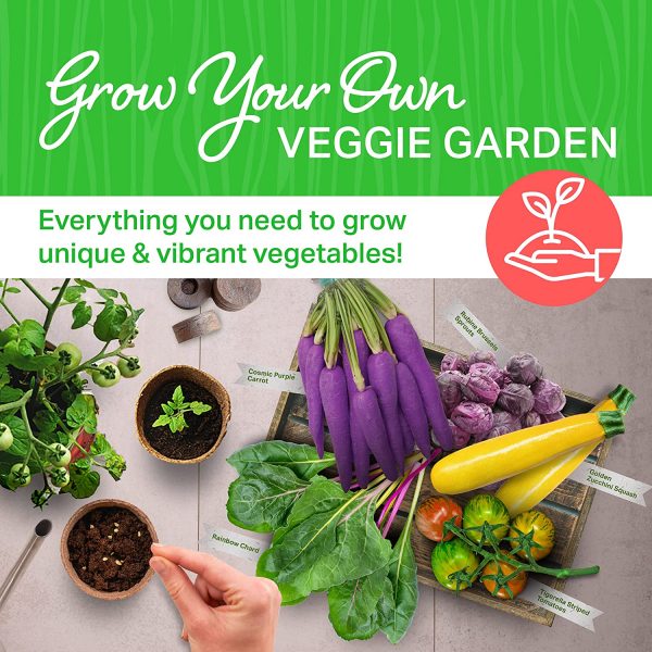 Funky Vegetables Kit - Image 2