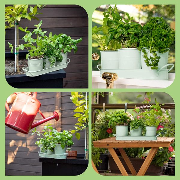 Herb Planter Indoor - Image 3