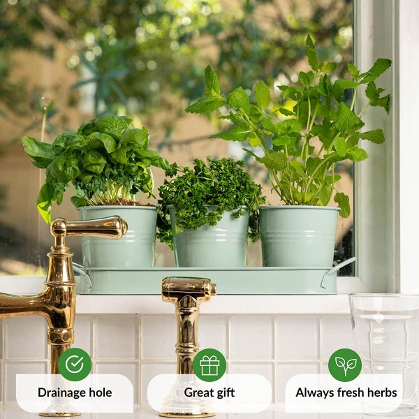 Herb Planter Indoor - Image 4