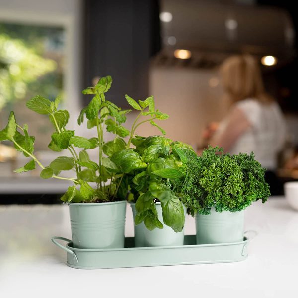 Herb Planter Indoor - Image 7