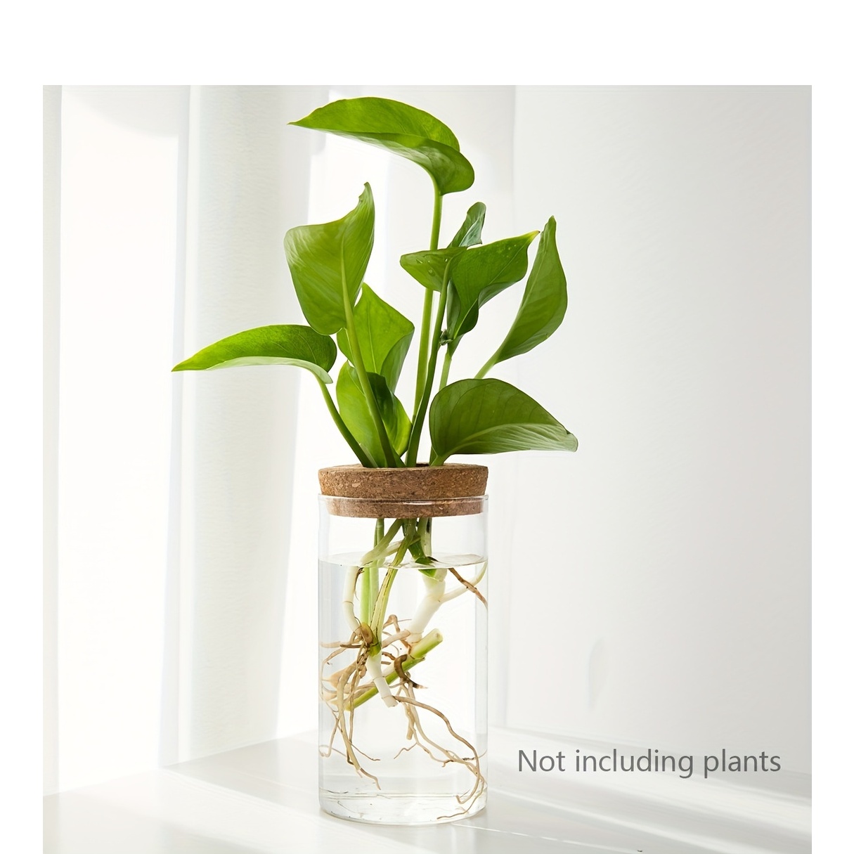 Hydroponics Planter, Plant Propagation Station - Image 11